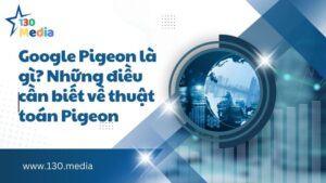 Google Pigeon là gì? Những điều cần biết về thuật toán Pigeon