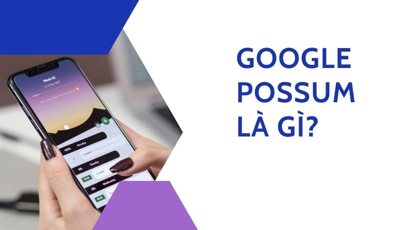 Google Possum là gì?