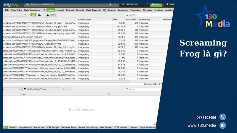 Screaming Frog là gì?